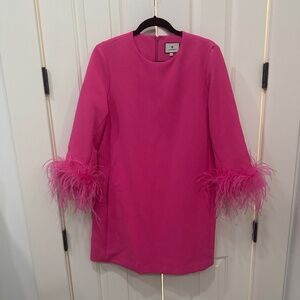 Hot Pink Feather Tuckernuck Dress